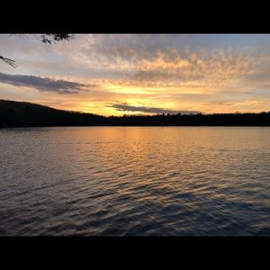 Meet your Posher, Logan